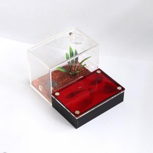 Small Acrylic Ant Box Blackout Acrylic Cage China Manufacturer