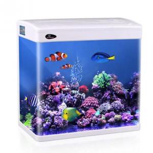 Rectangular small acrylic table fish tank for sale China Manufacturer