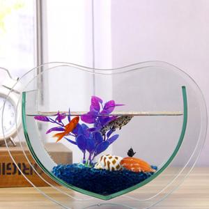 Mini Aquarium Acrylic Fish Tank